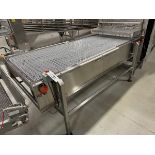 Intralox Multi-Directional Roller Conveyor over Stainless Steel Frame (Approx. 40" | Rig Fee $300