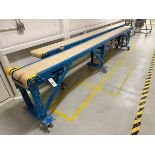 New London Belt Conveyor (Approx. 1' x 16') | Rig Fee $200