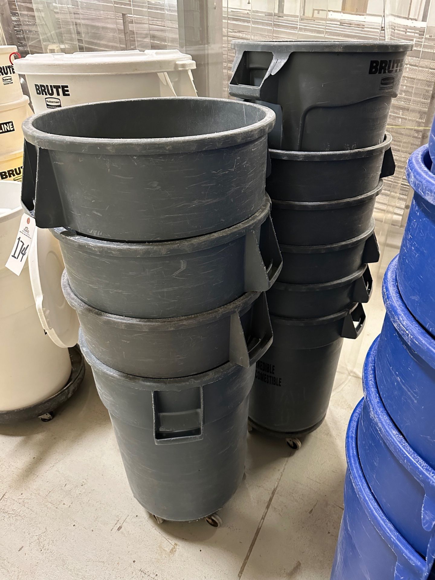 Lot of Approx (70) 55 Gallon Rubbermaid Brute Cans (Tagged as Lots 172 - 179) | Rig Fee $50 - Image 4 of 10