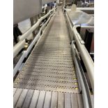 Bevco Conveyor over Stainless Steel Frame (Approx. 9" x 16')