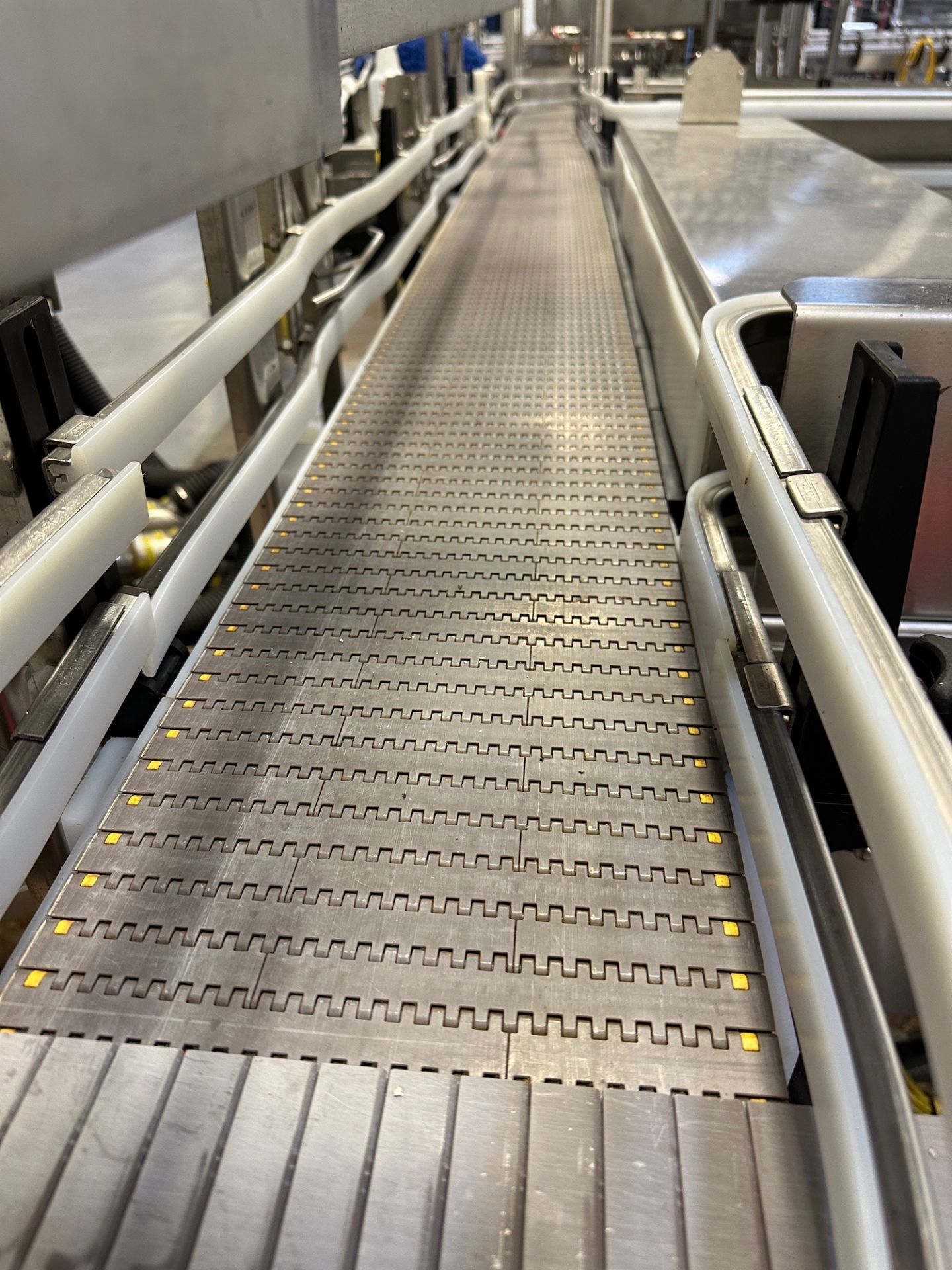 Bevco Conveyor over Stainless Steel Frame (Approx. 9" x 16') | Rig Fee $750