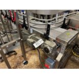 Bevco Conveyor over Stainless Steel Frame from Second Air Knife to Laning (Approx. 9" x 12')