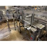 Bevco Conveyor over Stainless Steel Frame (Approx. (4) 3.25" Belts x 16' with 90 De | Rig Fee $750