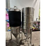 (2) Portable Stainless Steel Fermenters