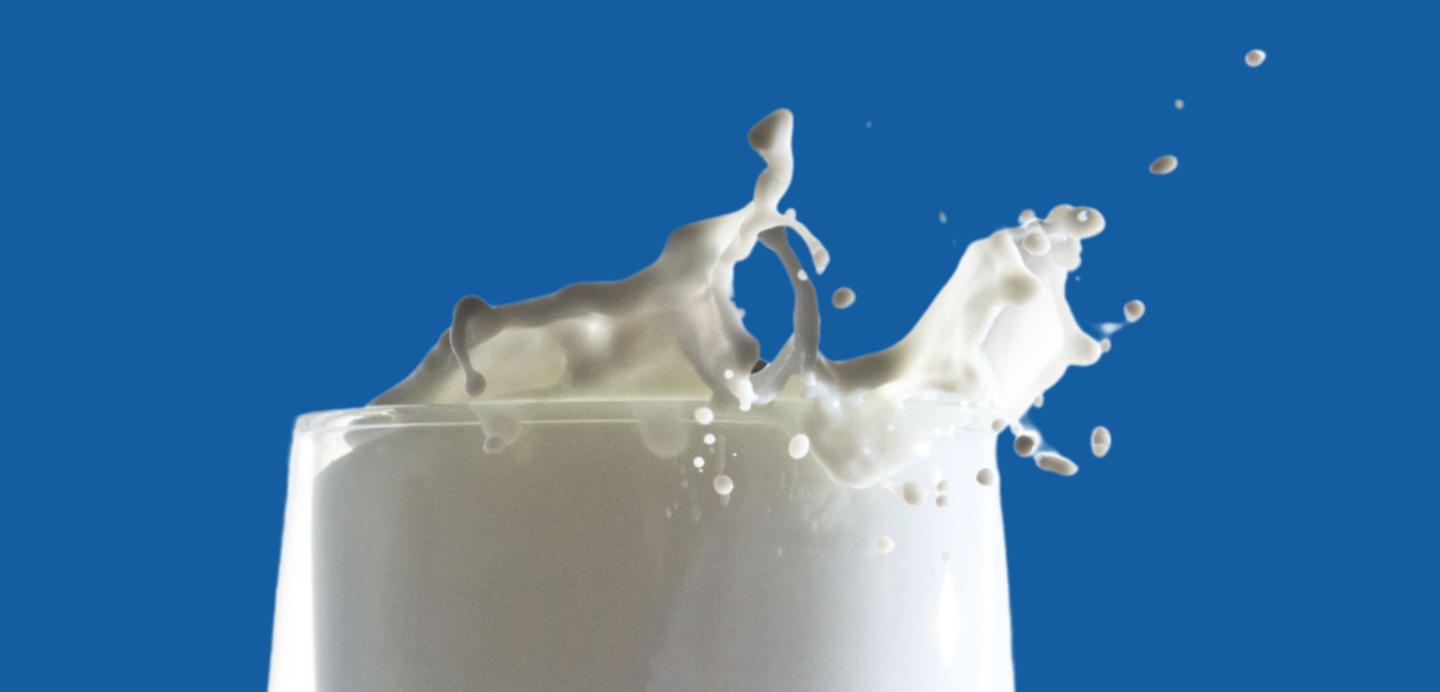 Fluid Milk Plant: DCI 40K, 20K Silos, 6K Cream Tank, Separator, Processors, Liquefiers, Homogenizers, Federal & Fogg Fillers, Horiz Tanks, More
