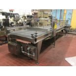 Dyco Stainless Steel Debagging Table, 48" Conveyor, 16.5'long