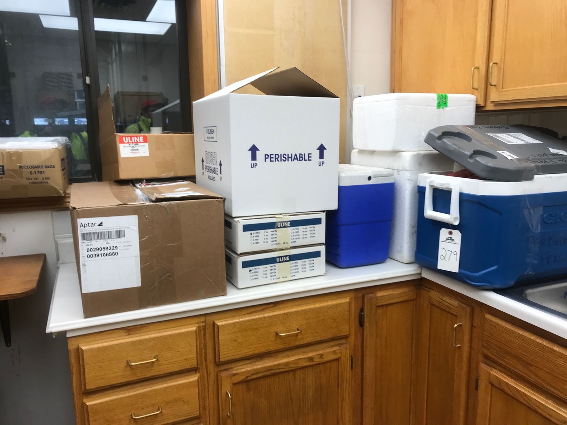 Lot of Lab Equipment, Syringes, Coolers, Rubber Gloves, Hair Nets, Ear Plugs and Bags (Cabinets
