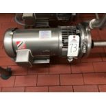 Stainless Steel Centrifugal Pump, 3HP, Stainless Steel Motor, 2" inlet & 1.5" outlet