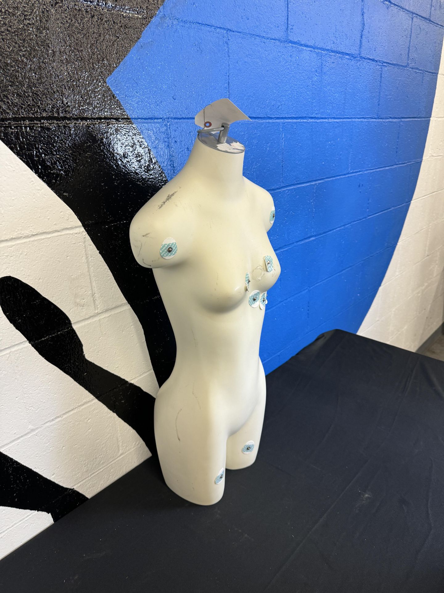 Female EKG Training Mannequin - Image 3 of 3