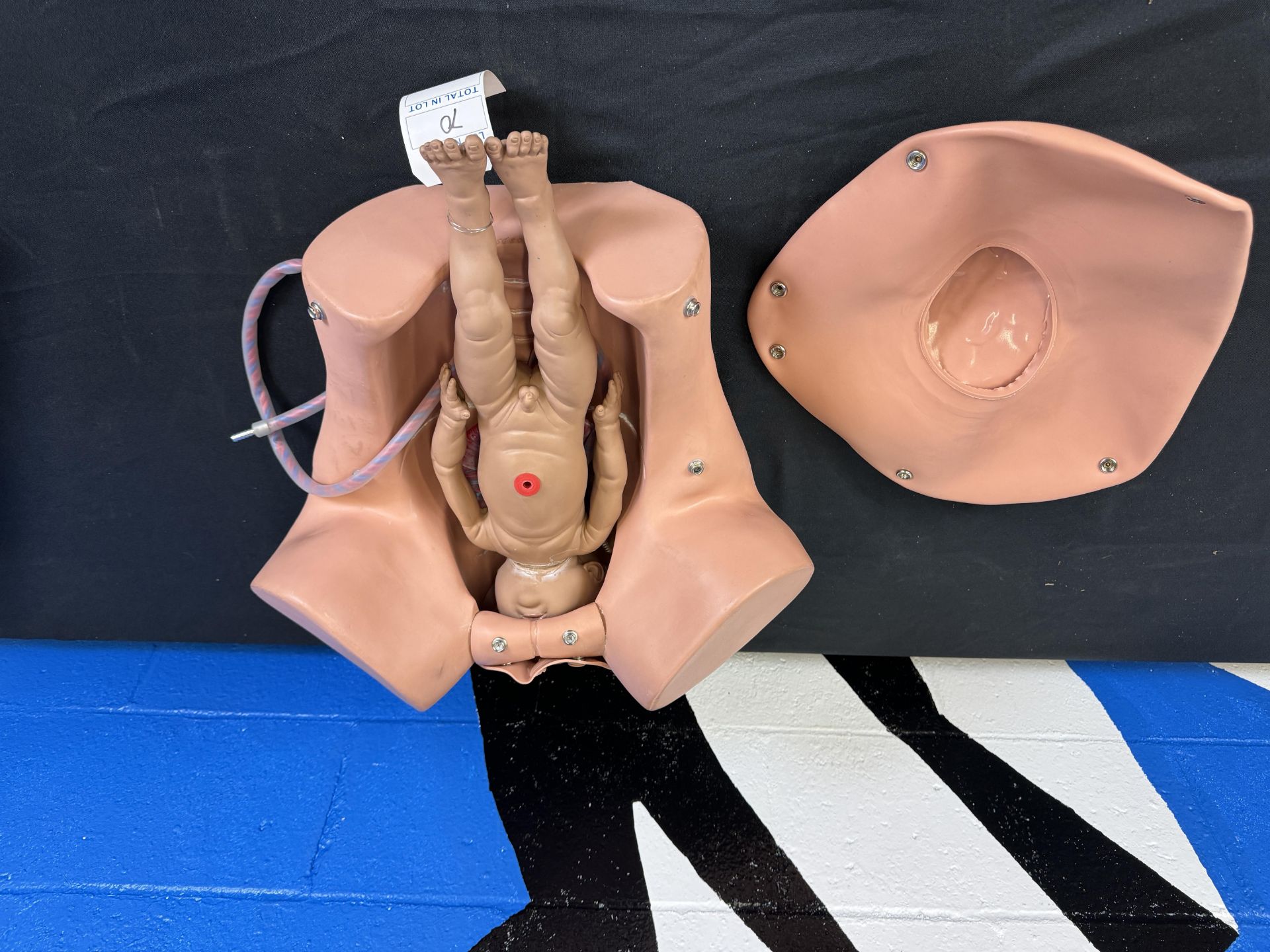 Pregnancy and Infant Birthing Simulation Abdomen Crisis Dummy