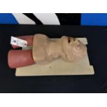 Laerdal Airway Management Trainer Adult Upper Torso Intubatable Dummy w/ Case