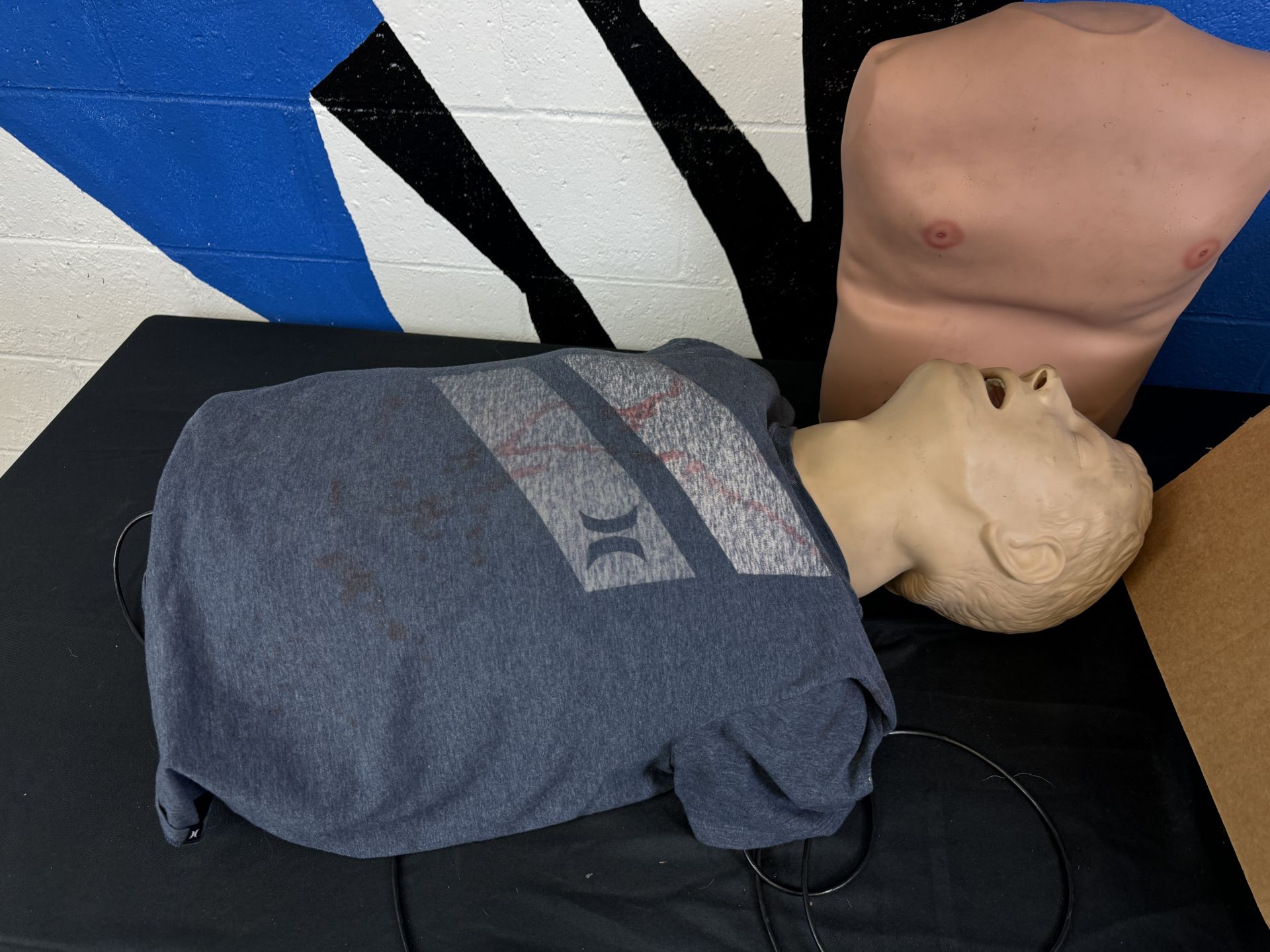 (Lot) Crisis Dummy Training Simulator Torso and Head with Accessories - Image 2 of 3