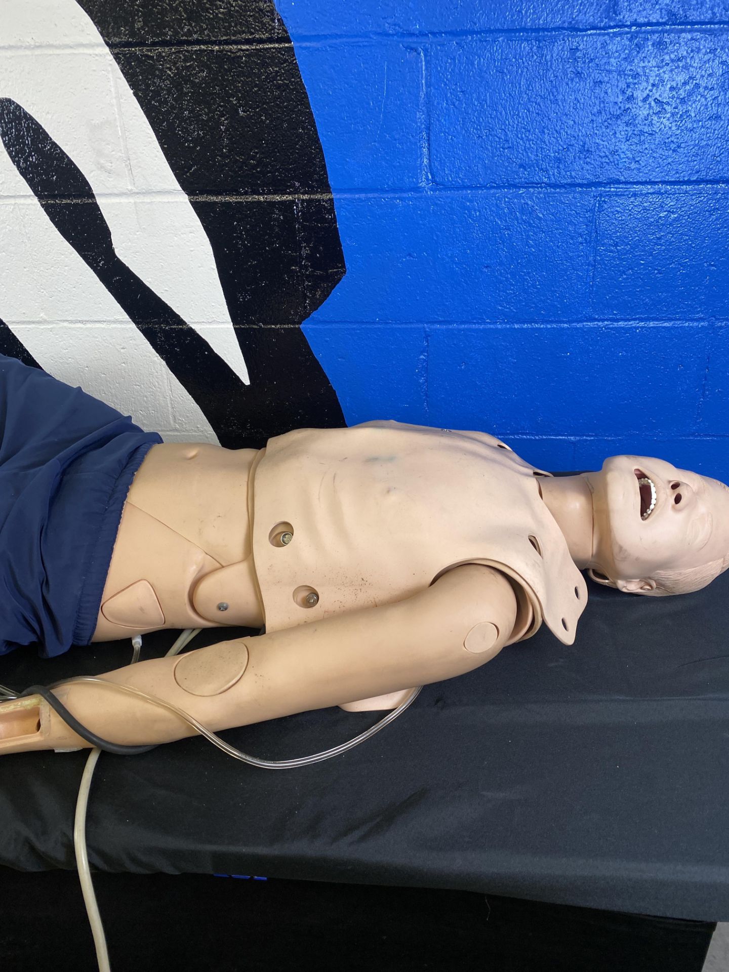 Adult Crisis Mannequin w/ CPR, Blood Pressure, and Pulse, Defibrillate Capable , EKG, Intubatable w/ - Image 8 of 8