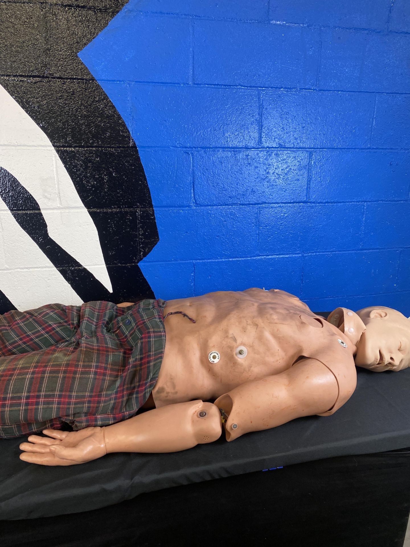 Adult Crisis Mannequin w/ CPR, Needle Chest Decompression, Blood Pressure, and Pulse, Defibrillate - Bild 6 aus 6