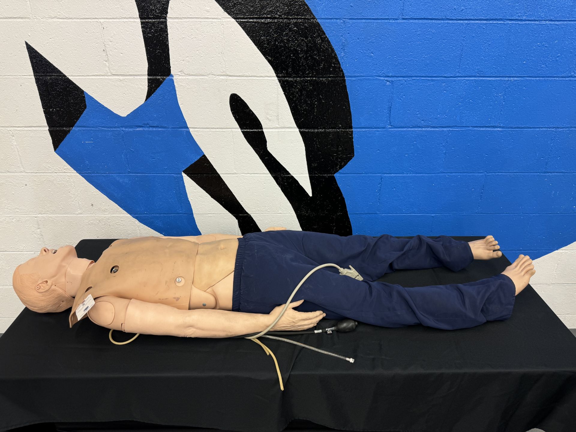 Adult Crisis Mannequin w/ CPR, Blood Pressure, and Pulse, Defibrillate Capable , EKG, Intubatable w/