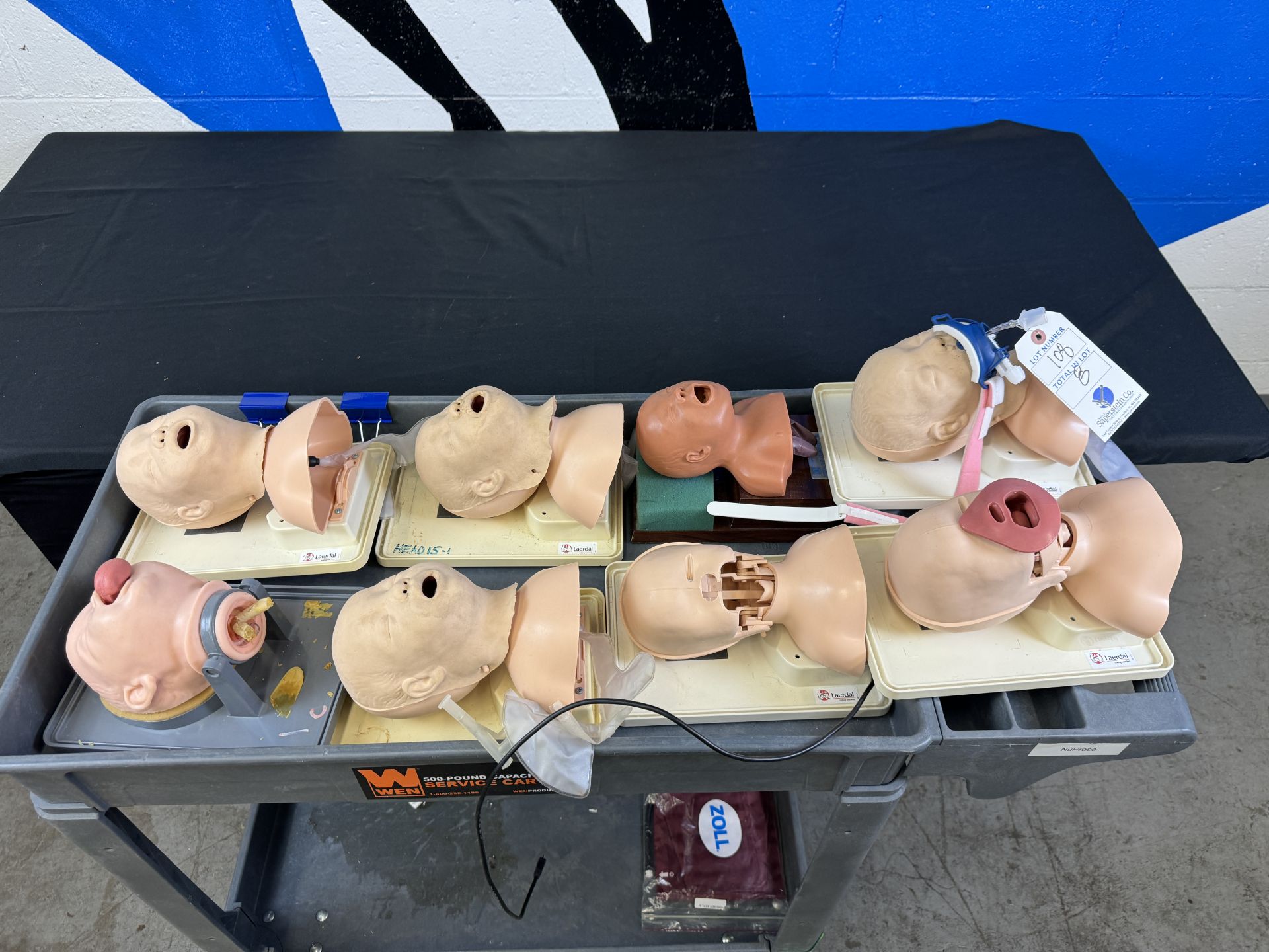 (8) Asst. Infant Simulator Training Heads
