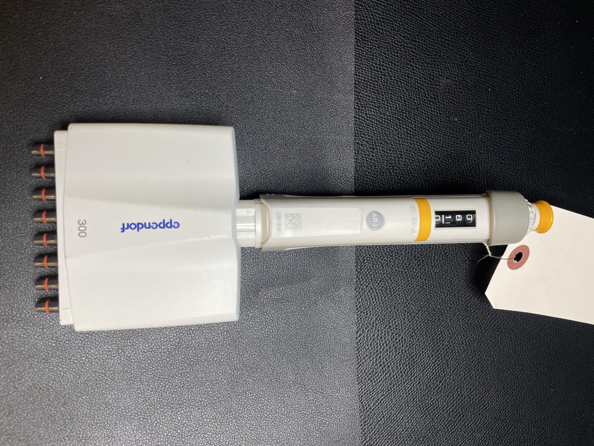 (4) Eppendorf Multi Head Pipettes, 10, 300,(2)100 - Image 6 of 7