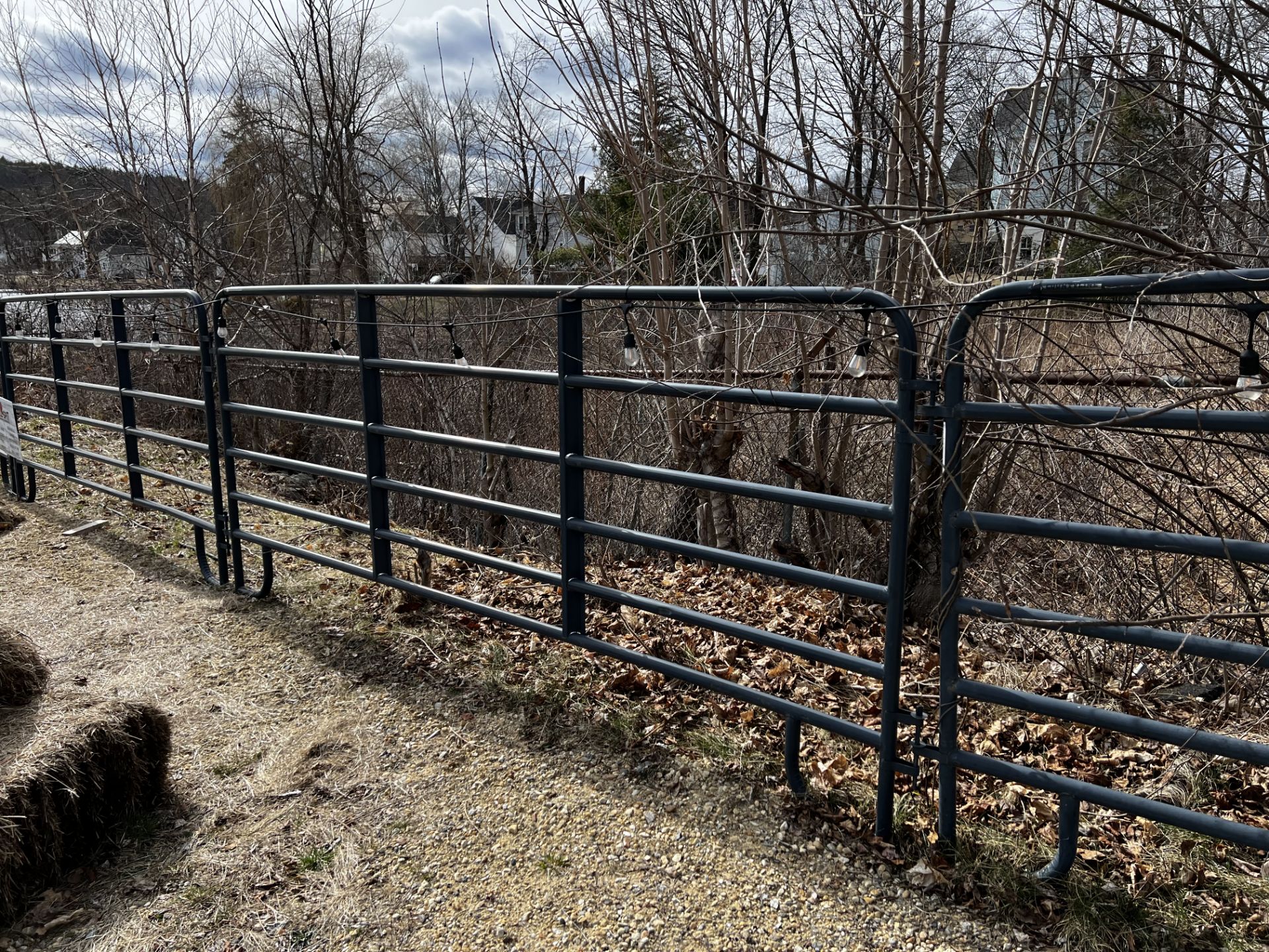 (3) 6' American Coral Gates