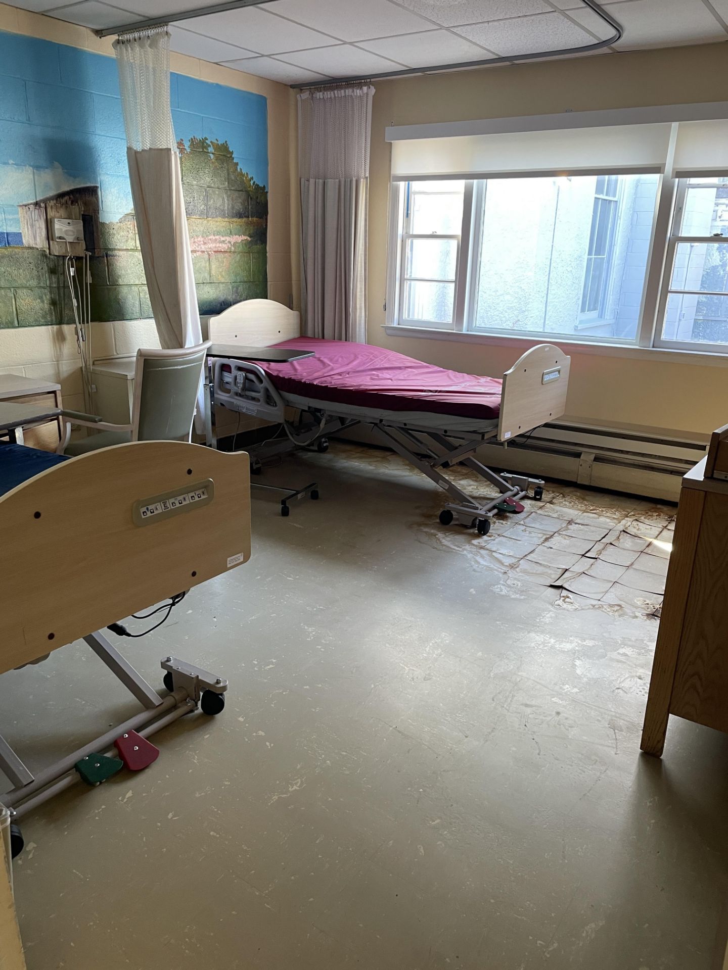{LOT} In Wing in Standard Rehabilitation Room (13 Rooms - 19 to 31 including 30) c/o: (12) Zenith - Image 13 of 16
