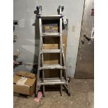 Werner Collapsible Ladder