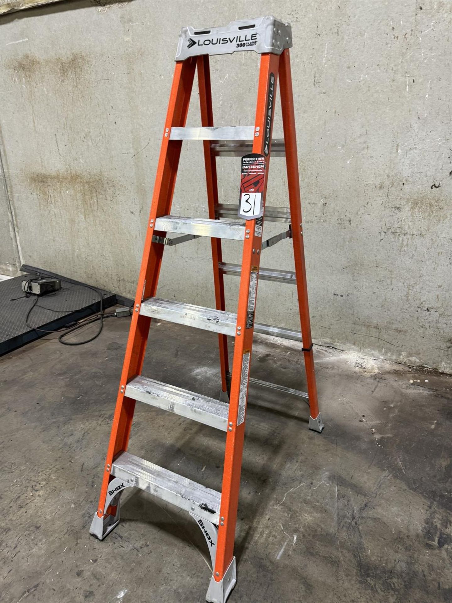 LOUISVILLE F81506 6' Fiberglass Extension Ladder