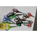 LOT OF SCISSORS