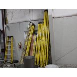 LOT: (2) 10' Fiberglass Ladders, (1) 8' Fiberglass Ladder