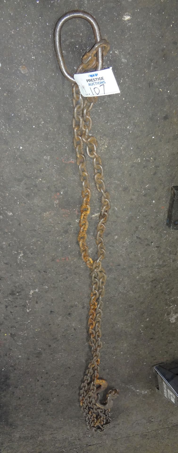 Double Hook Lifting Chain