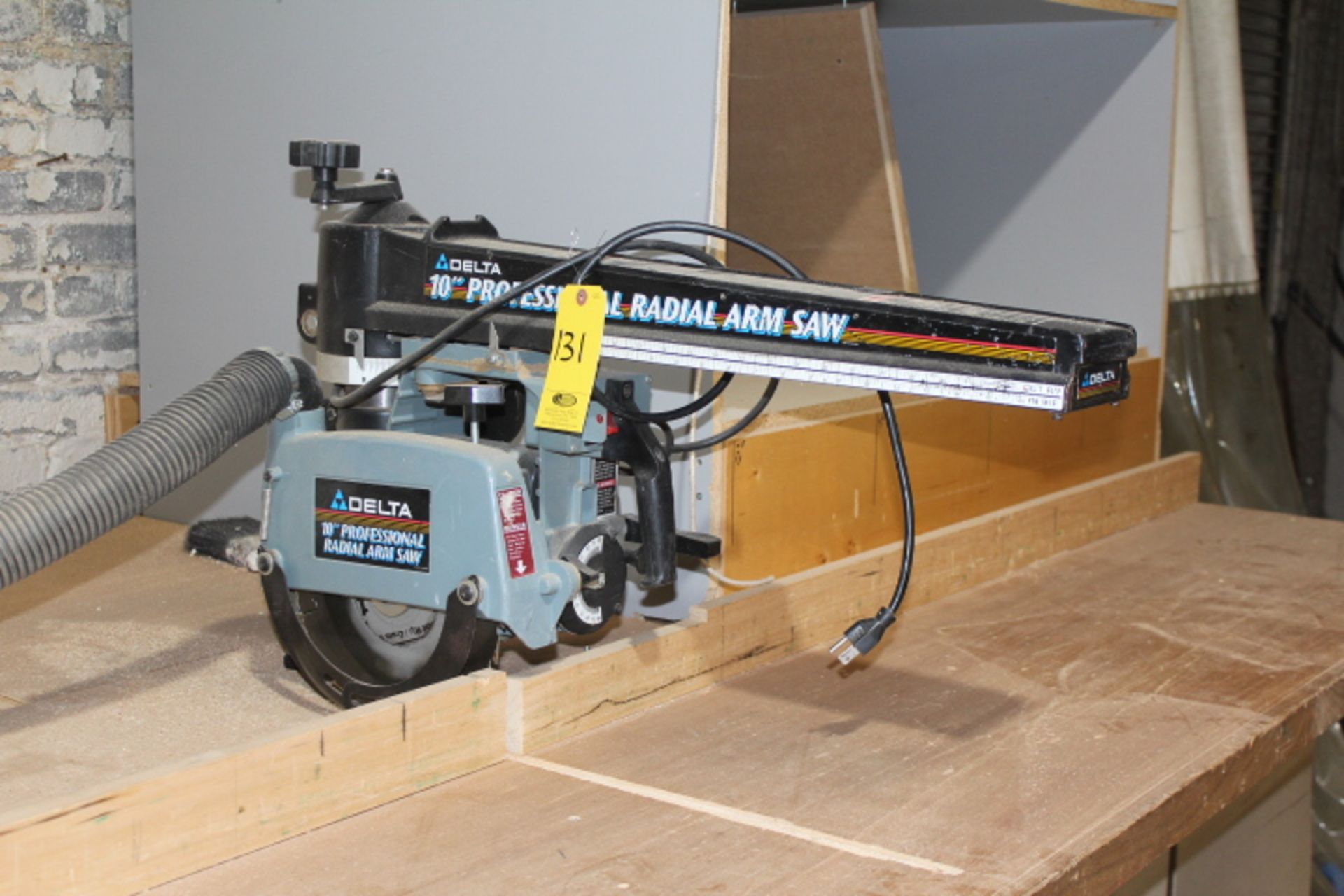 DELTA 10 IN. PROFESSIONAL RADIAL ARM SAW