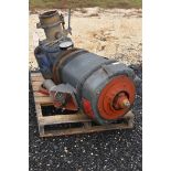 AC Shultes High Vel Well Pump- (LOADING FEE - $50)