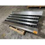 Singulator Conveyor