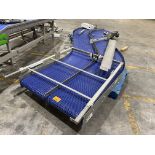 S-Bend Conveyor