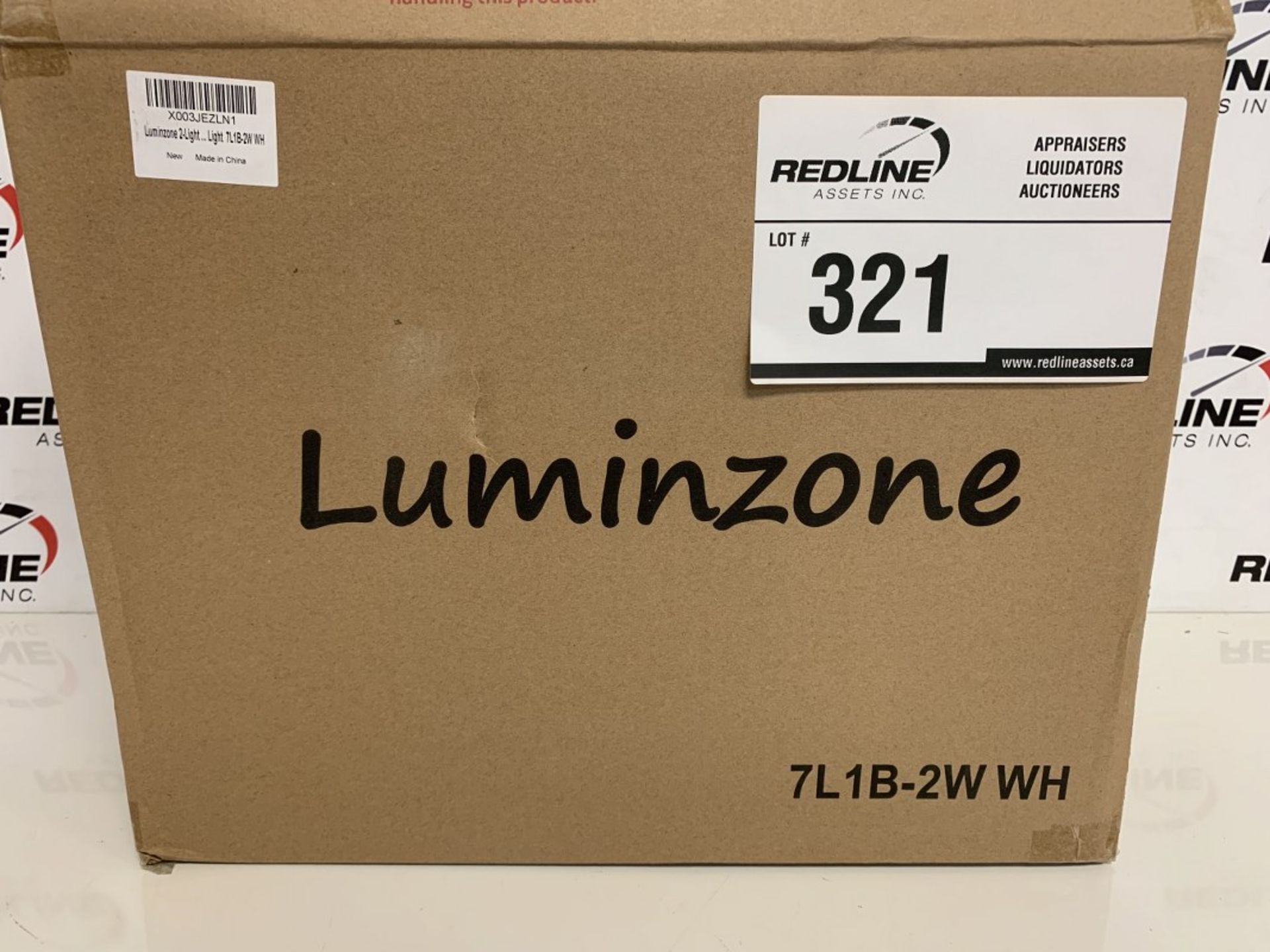 Luminzone - Light Fixture