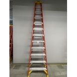 Werner Ladder 12 ft