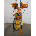 RW 2 Ton Electric chain hoist with power trolley and 8 button pendant controller - 220V - 20 foot