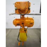 RW 5 Ton Electric chain hoist with power trolley and 8 button pendant controller - 220V - 20 foot