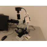 Amscope Lab Microscope w/ Amscope mod. MU1603