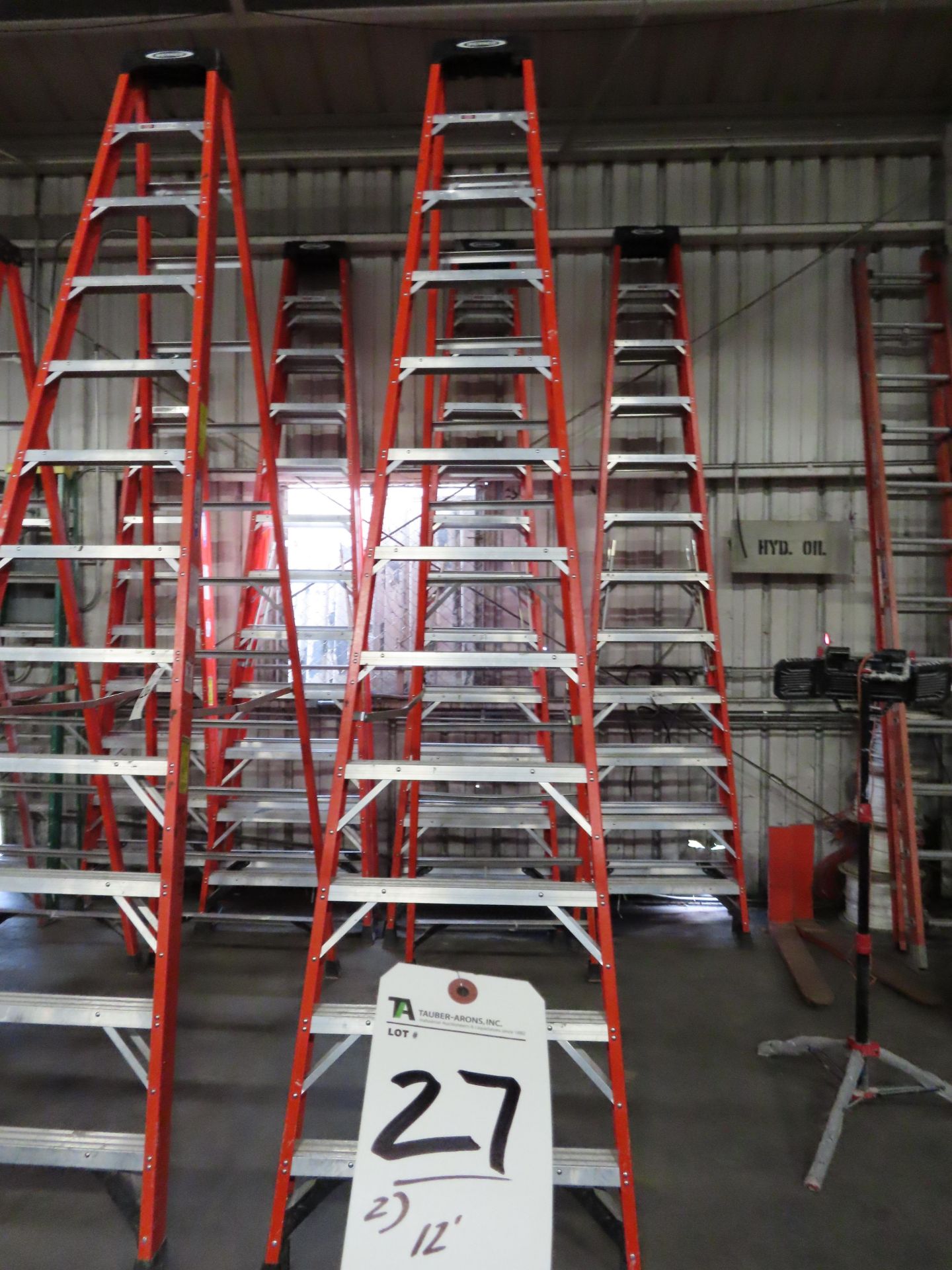 12' Ladders