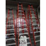 12' Ladders