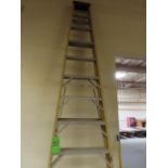 12' Step Ladder