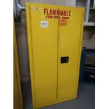 Securall Flammable Liquid Storage Cabinet