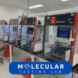 Molecular Testing Lab