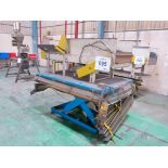 Feedall Model H4W-24-7 Diversion Conveyor