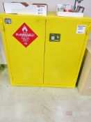 Pig 2- Door Flammable Liquid Storage Cabinet