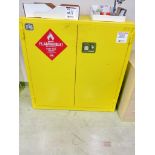 Pig 2- Door Flammable Liquid Storage Cabinet