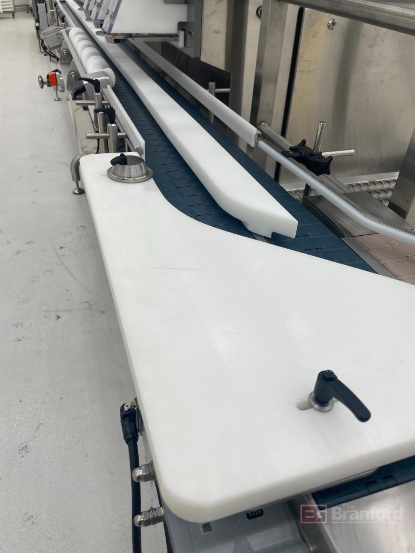 Pharma Packaging Systems Twin Conveyor System (Year 2020) - Image 5 of 6