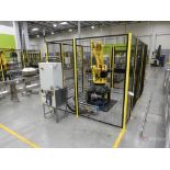 2019 Fanuc Model M-410iC-110, 110Kg Payload Palletizer Robot