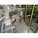 2021 NJM Packaging Curved Belt Conveyor