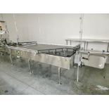 Garvey Model BF48, Stainless Steel Accumulation/Conveyor Table