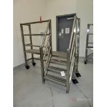 Stainless Steel Portable Work Platform